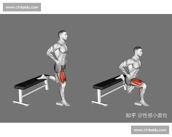 提升日常生活与运动表现的平衡能力训练策略与方法探索